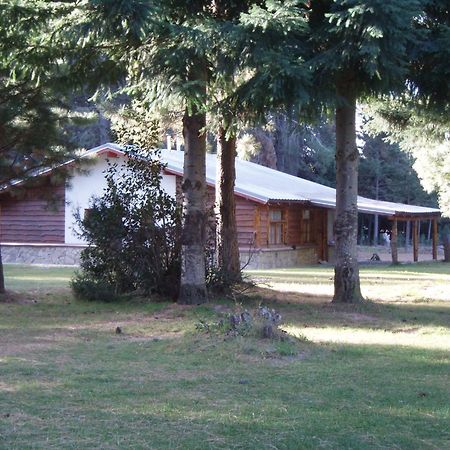 Posada Del Angel Сан Карлос де Барилоче Екстериор снимка